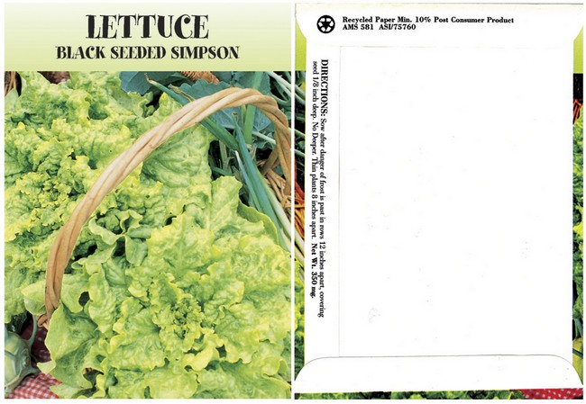 Lettuce Seed Packs | Custom Seeds