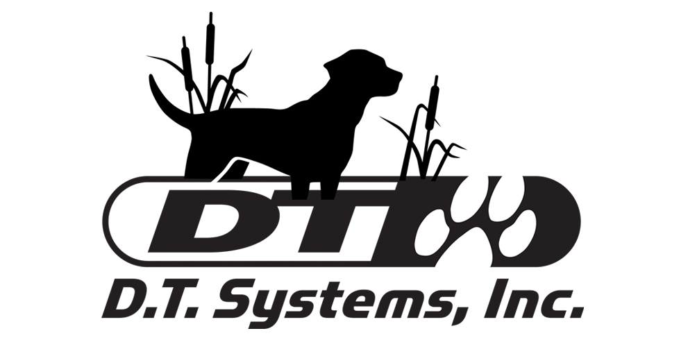 DT Systems
