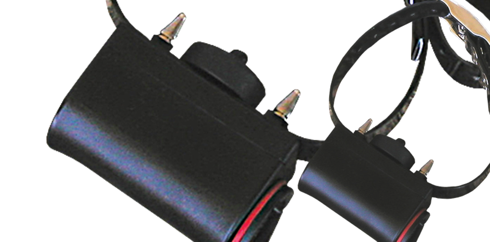 DT Systems No Bark Collars