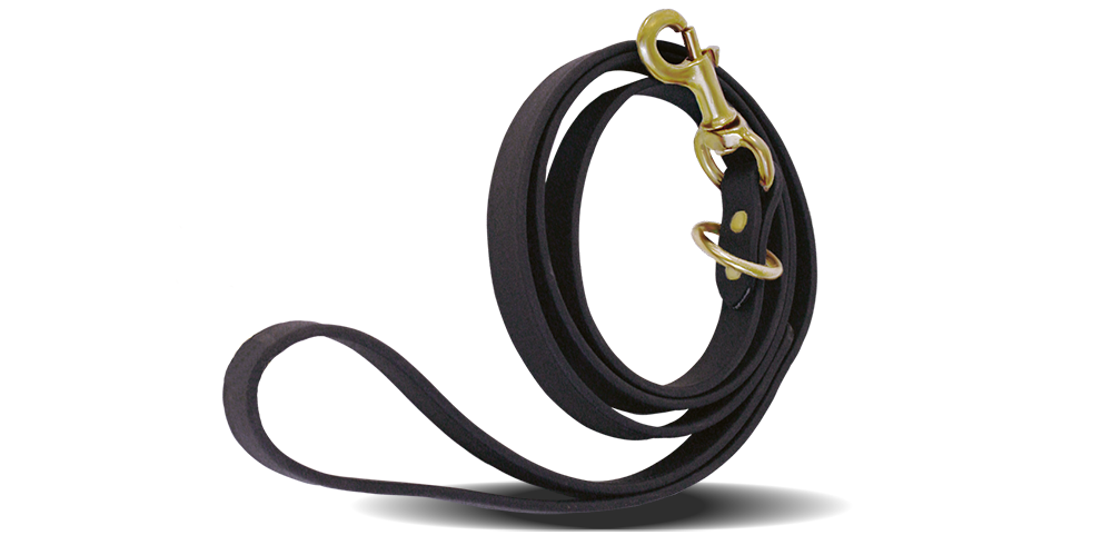 Dog leashes and leads –