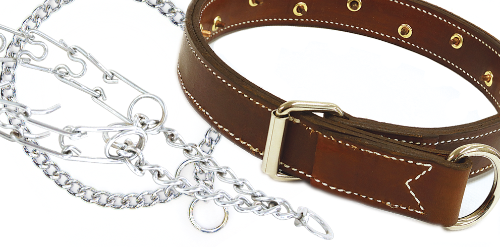 Force Style Dog Collars