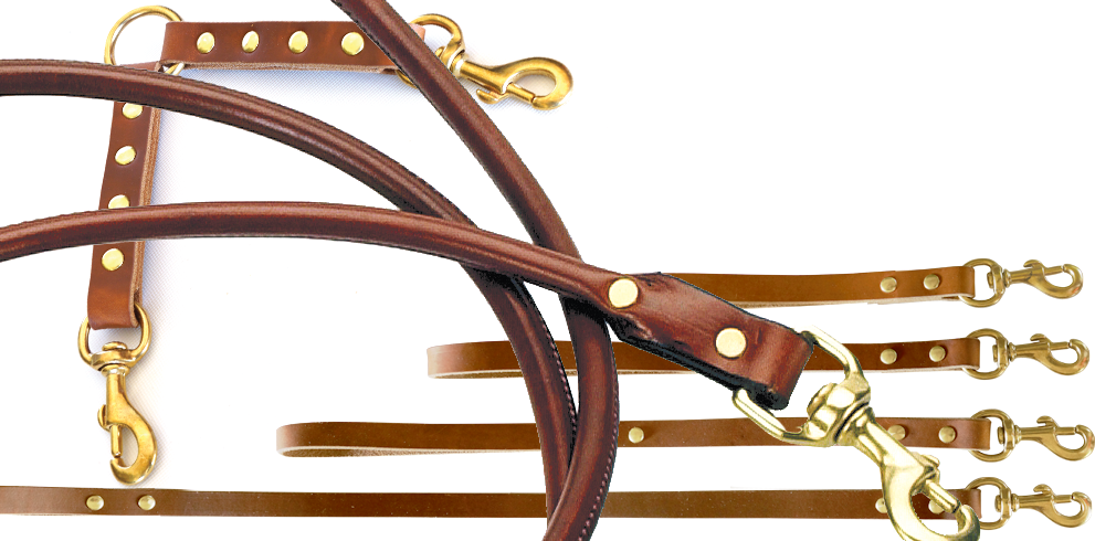Leather Dog Leashes