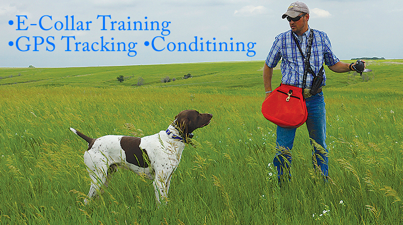 Training and Tools