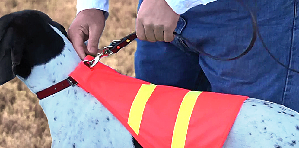 Visibility Equipment