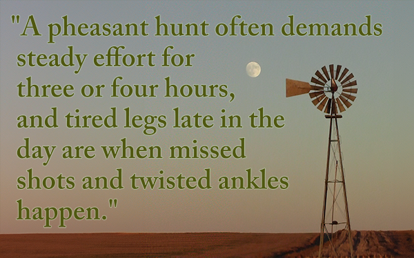 Windmill at Dusk with Quote