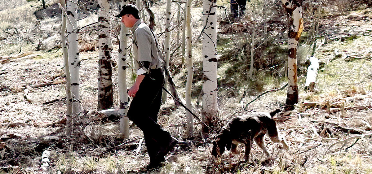 Person walking with a dog in the country using a Jaeger Lead