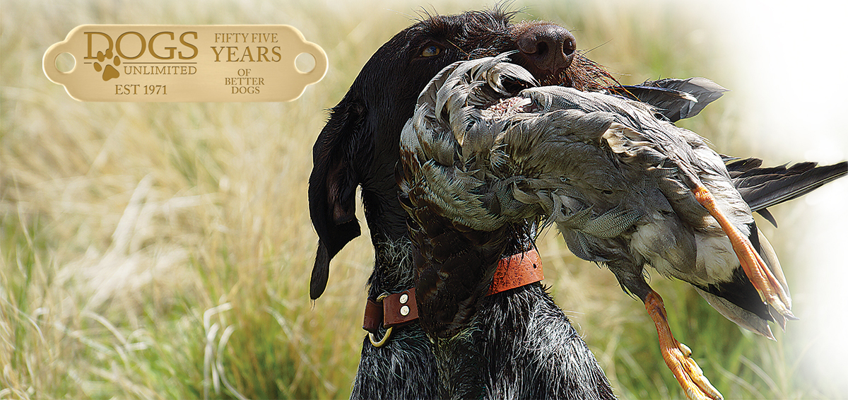 Hunting Dog with a Bird in its Mouth