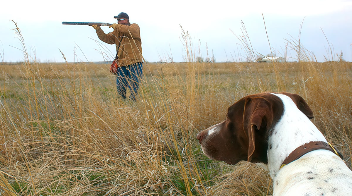 Dog and Hunter