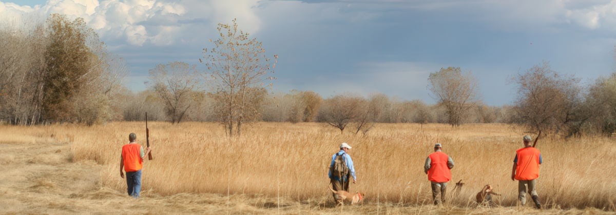 Four Upland Hunters in a Field with hunting dogs