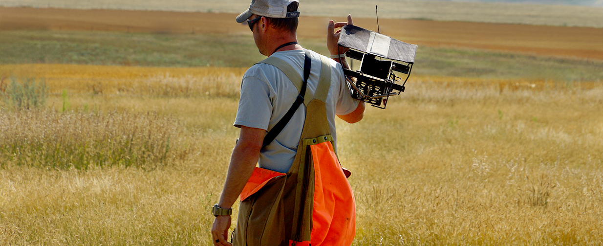 Dog trainer walking with a bird launcher