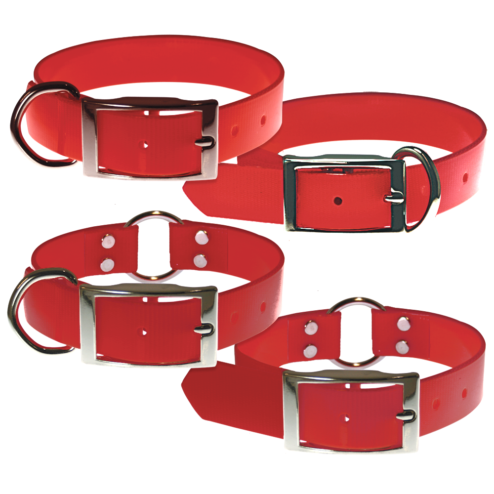 Custom Dura-Flex Dog Collar by Dogs Unlimited LLC