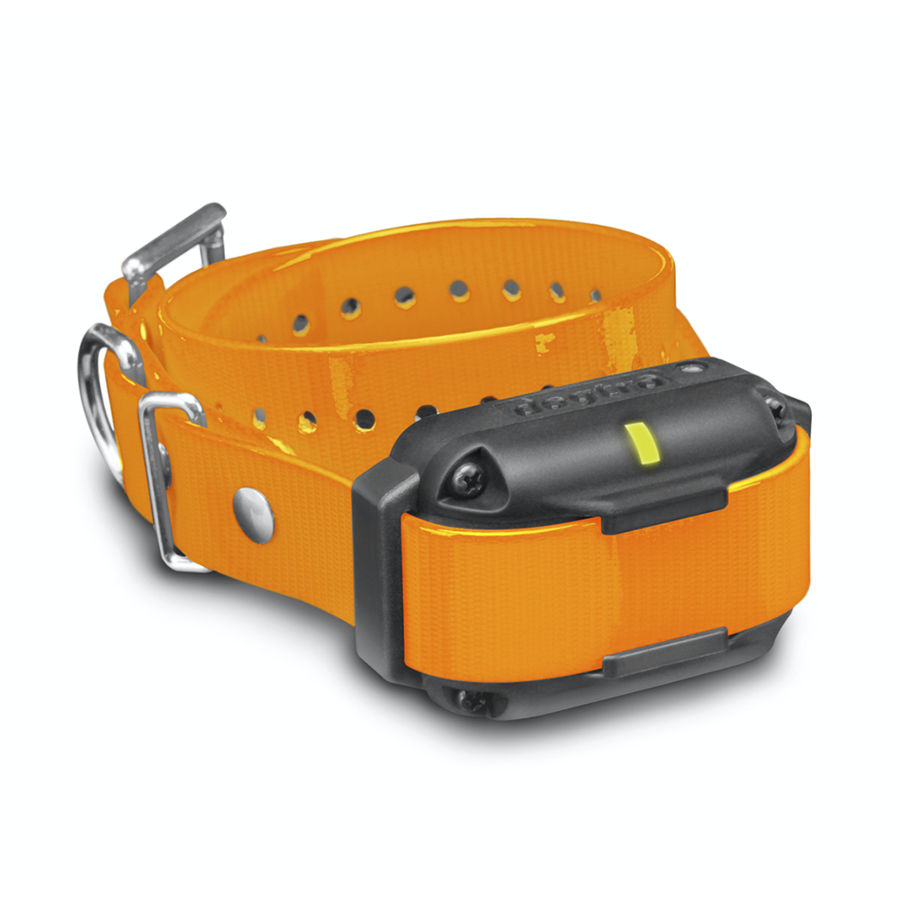 Dogtra edge 2024 rt collar