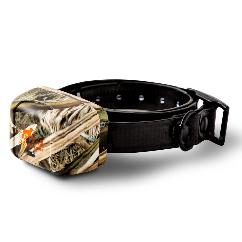 Dt system outlet dog collar