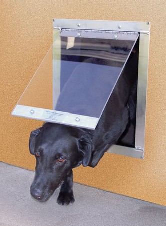 house dog door