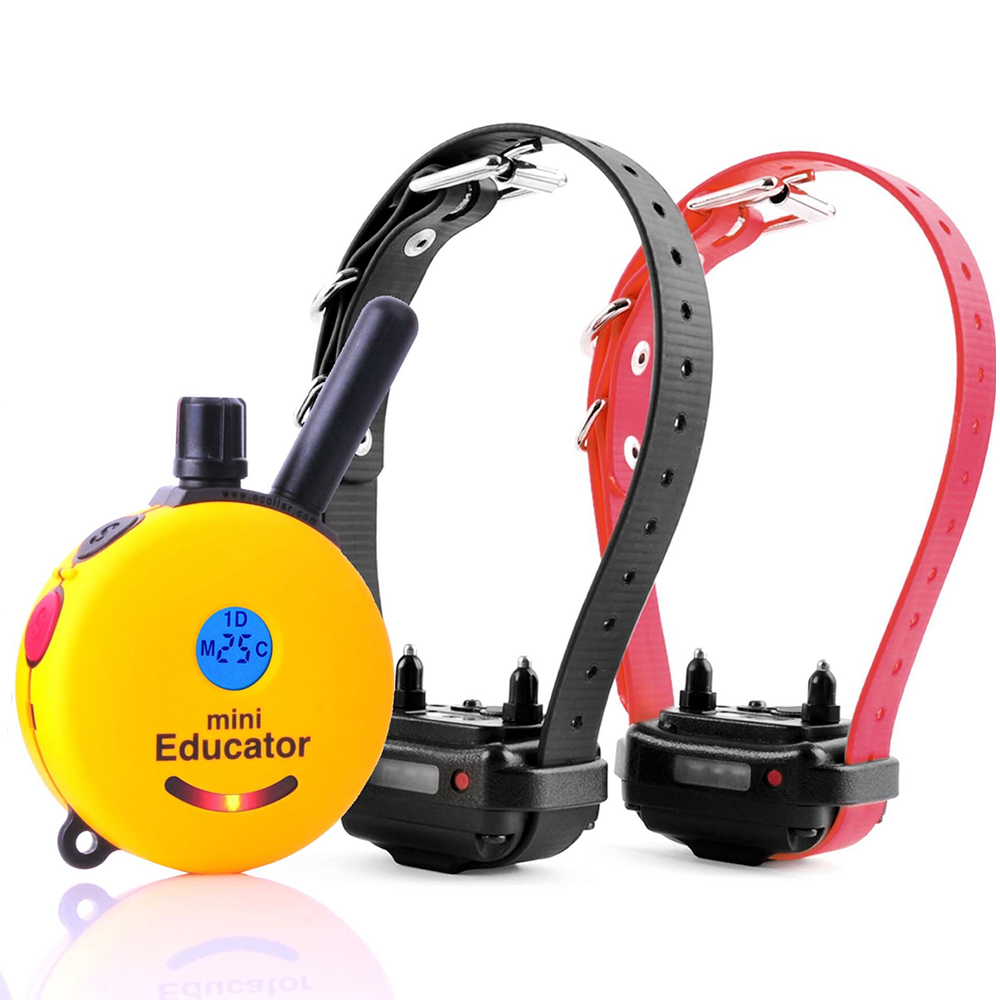 ET-300, Mini Educator E-Collar 1/2 Mile Remote Dog Trainer by E