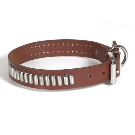 Custom Dura-Flex Dog Collar by Dogs Unlimited LLC