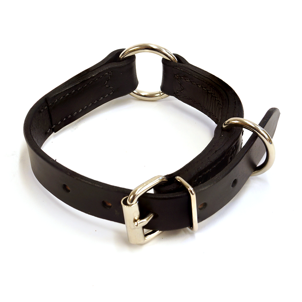 are leather collars safe for dogs