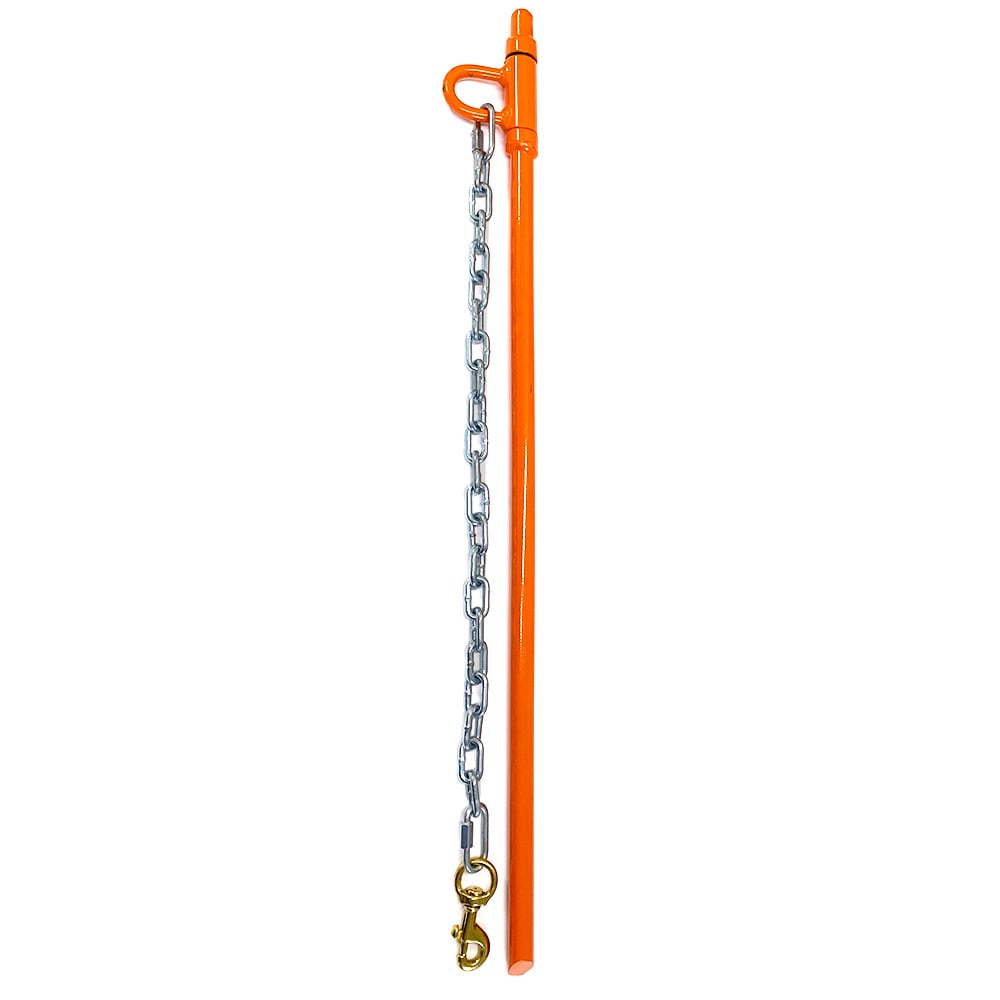 Dog stake and clearance chain