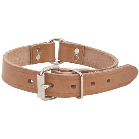 leather center ring dog collar