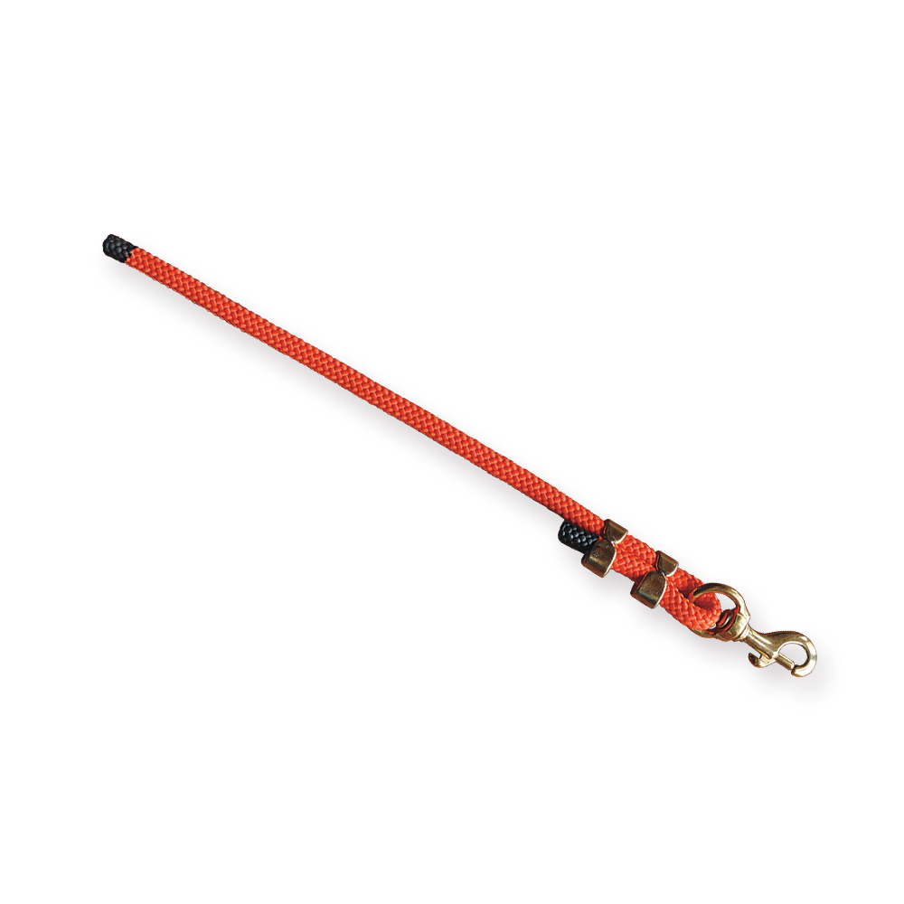 FieldKing Training Tabby