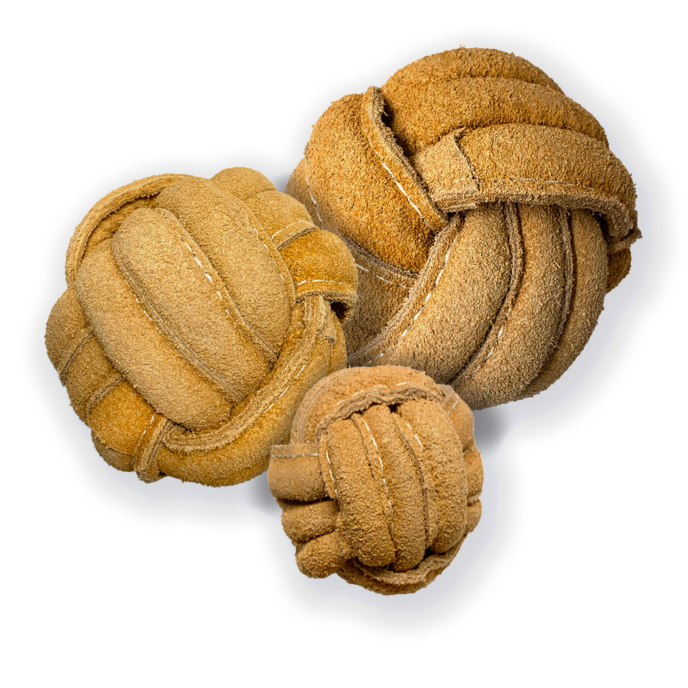 Check Out Dogs Unlimited's New Products