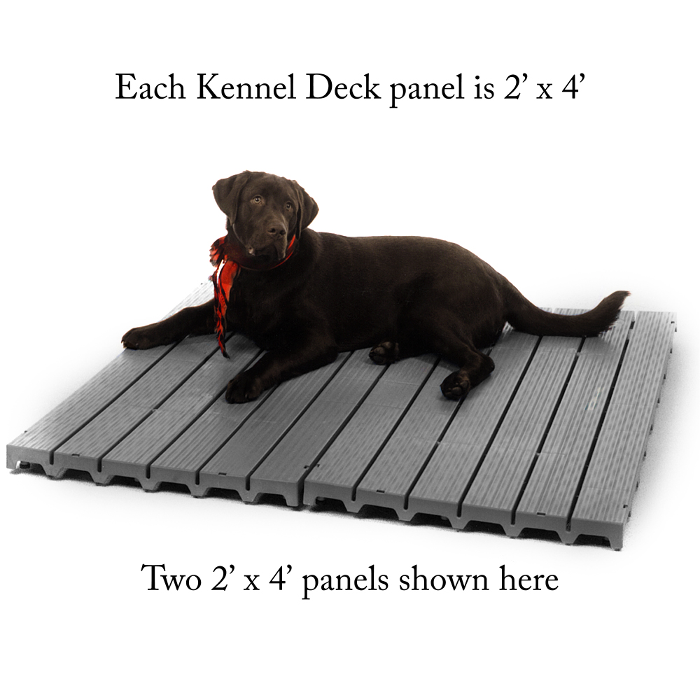 https://siteimgs.com/10011/item/kennel-deck_1698774688-0.jpg