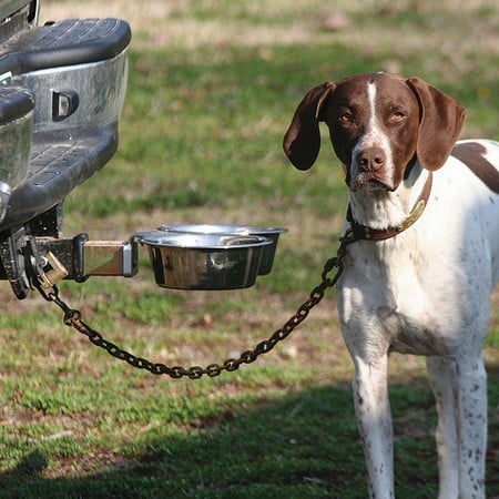 Towbar mounted dog clearance box for sale