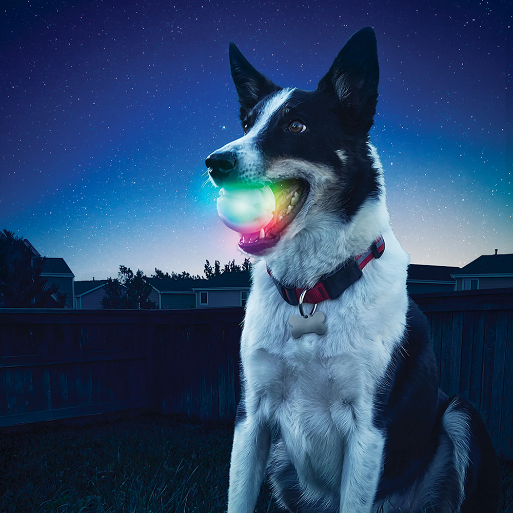 Frisbee à DEL Nite Ize Nite Dawg
