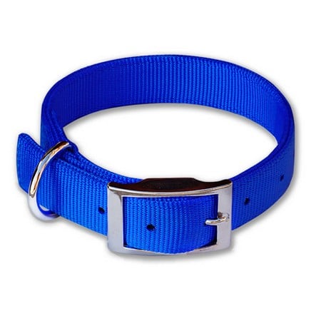 Nylon dog collars with nameplate hotsell