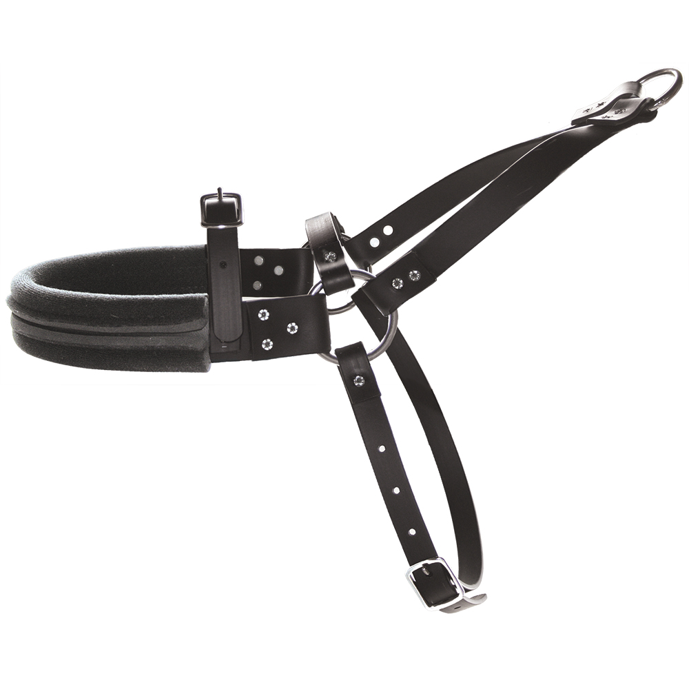 Padded Roading Harness by Sherry Ebert