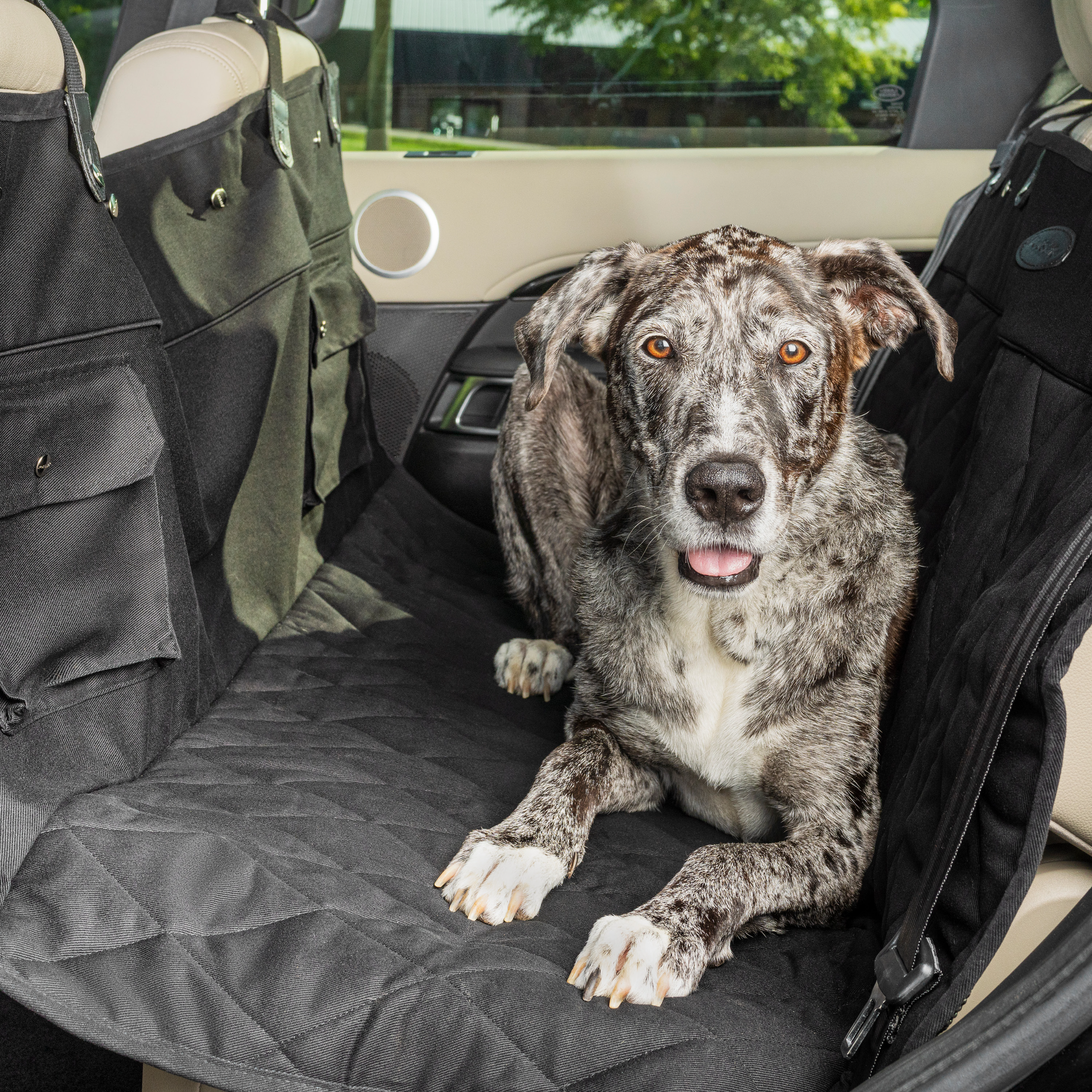 Housse De Transport De Rampe Happy Ride™ – PetSafe® Nada