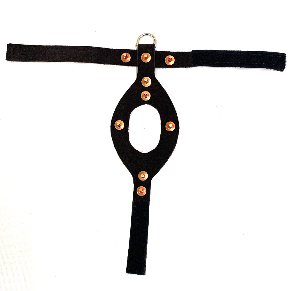 Bird Handling & Training Equipment at Dogs Unlimited