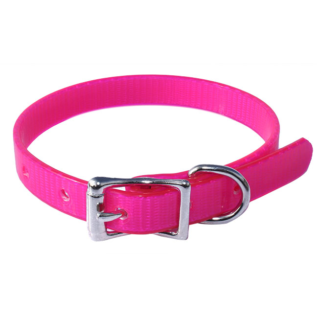 large pink dog collar
