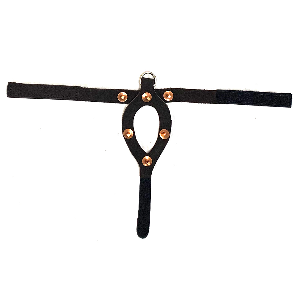 Quail Restraint Harness, Spiked