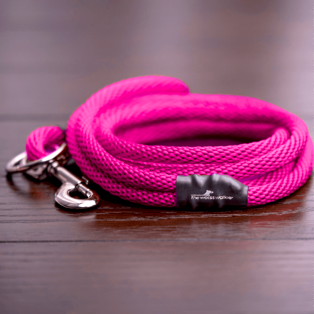 Walkie dog outlet leash