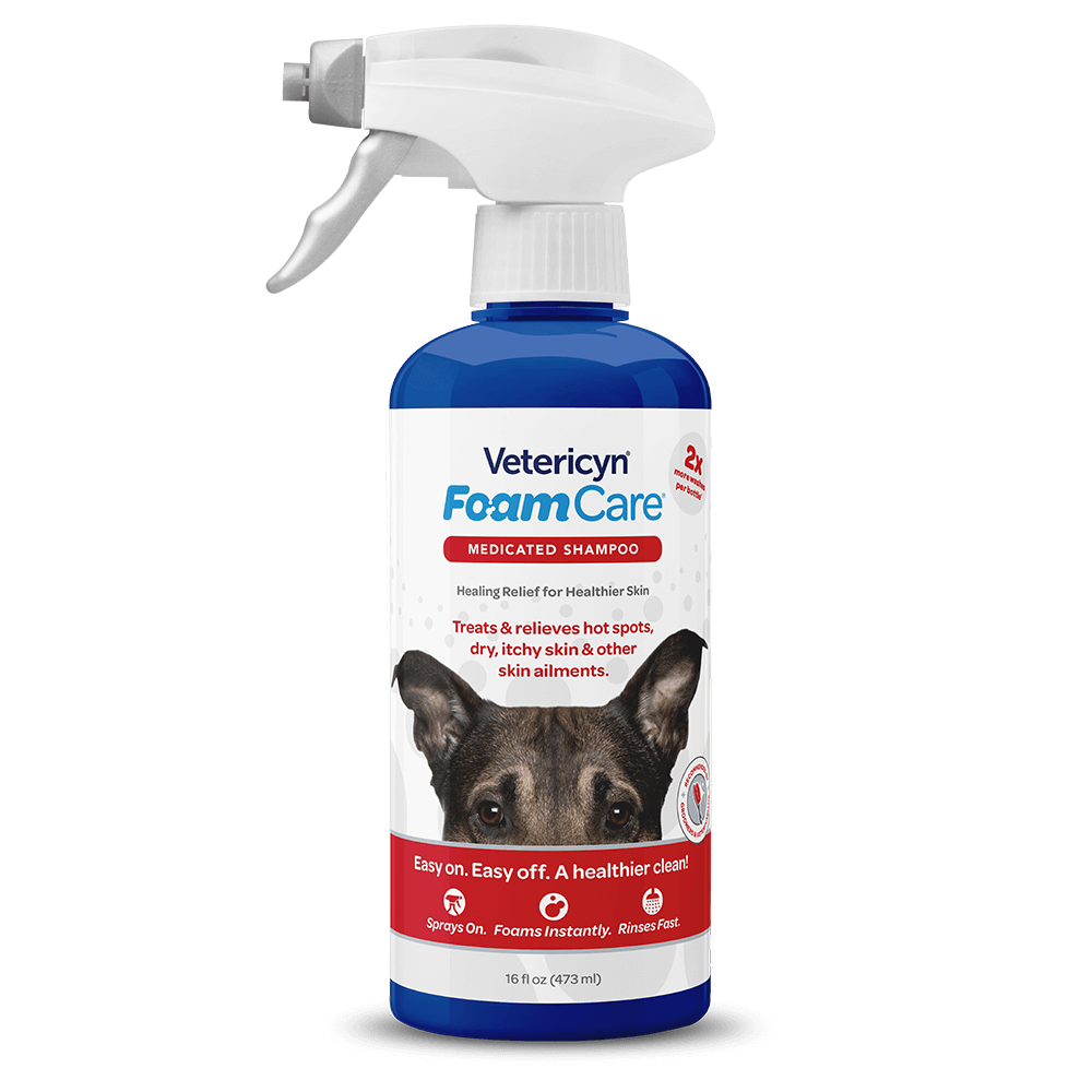 Vetericyn FoamCare Medicated Pet Shampoo, 16 oz
