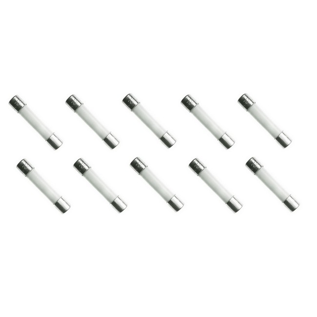 Ceramic Tube Fuse 20 Amp 250 Volt Fast Blow for Microwaves, etc. 10 PACK