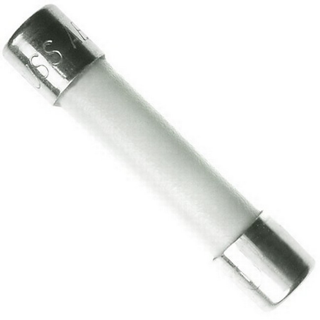 Ceramic Tube Fuse 25 Amp 250 Volt Fast Blow for Microwaves, etc.