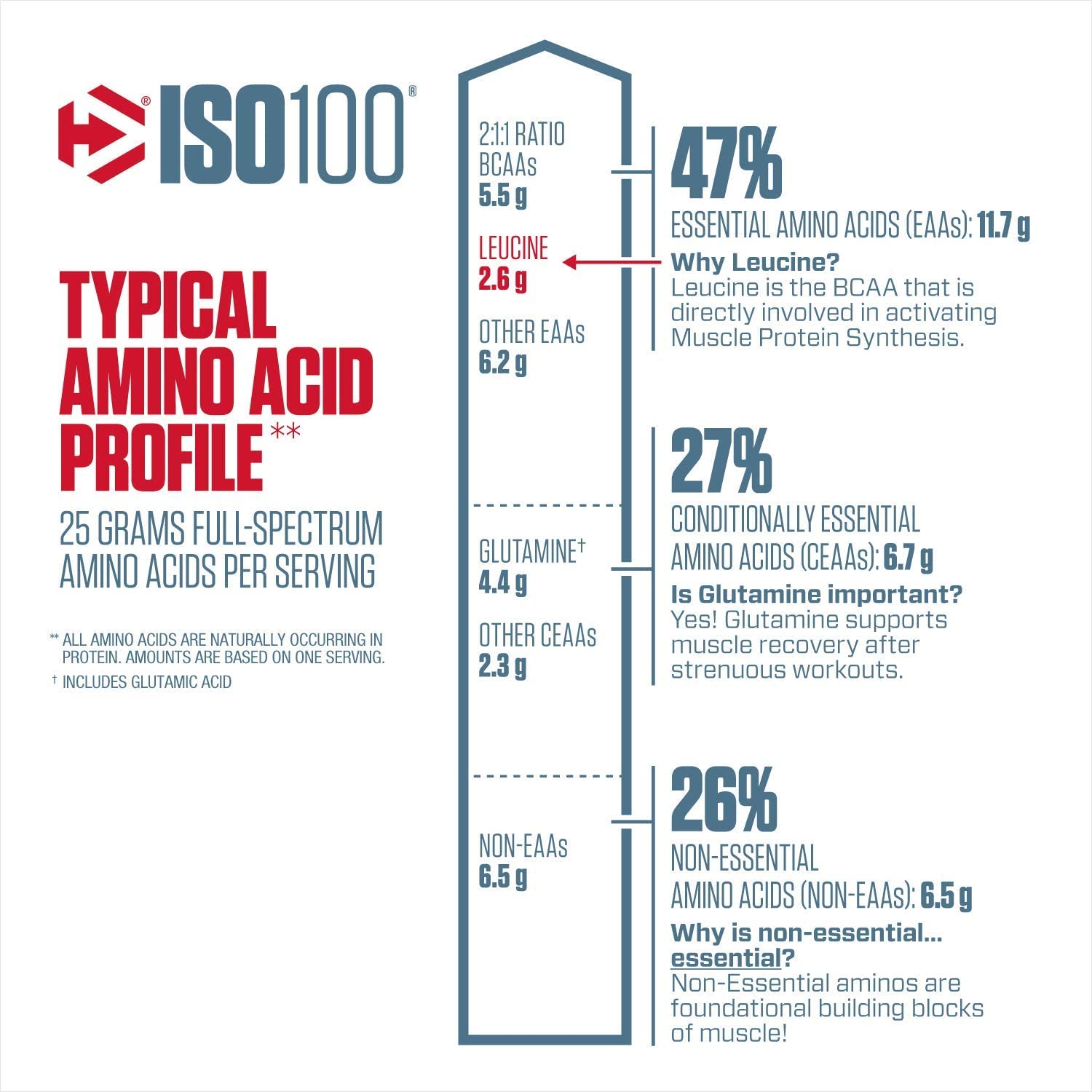 "ISO100 Amino Acid Profile including 25g full-spectrum amino acids, BCAAs, Leucine, Glutamine, and others, supporting muscle recovery."