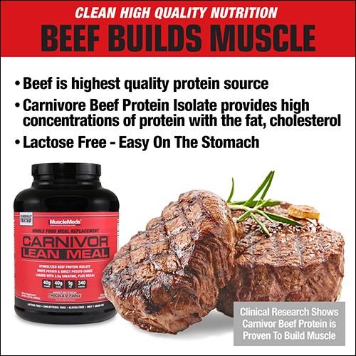Carnivor Beef Protein Isolate: high-quality, lactose-free source of protein for muscle building, also acts as a meal replacement.