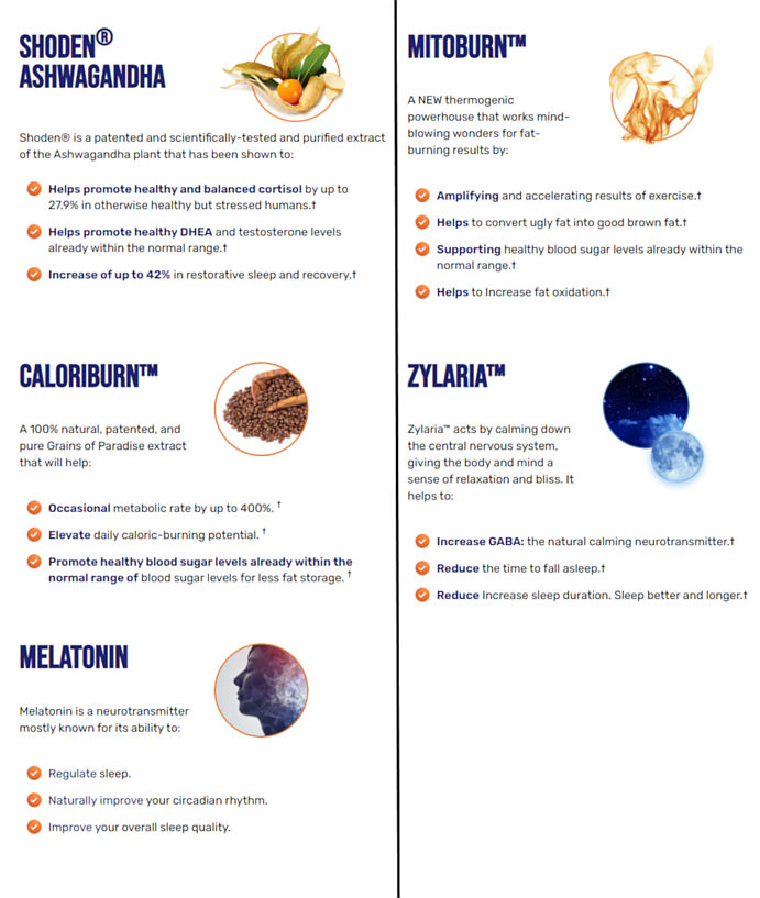 Detailed description of Shoden Ashwagandha, Caloriburn, Melatonin, Mitoburn, and Zylaria supplements. Highlights benefits like fat burning, restorative sleep, stable blood sugar levels, and relaxation.