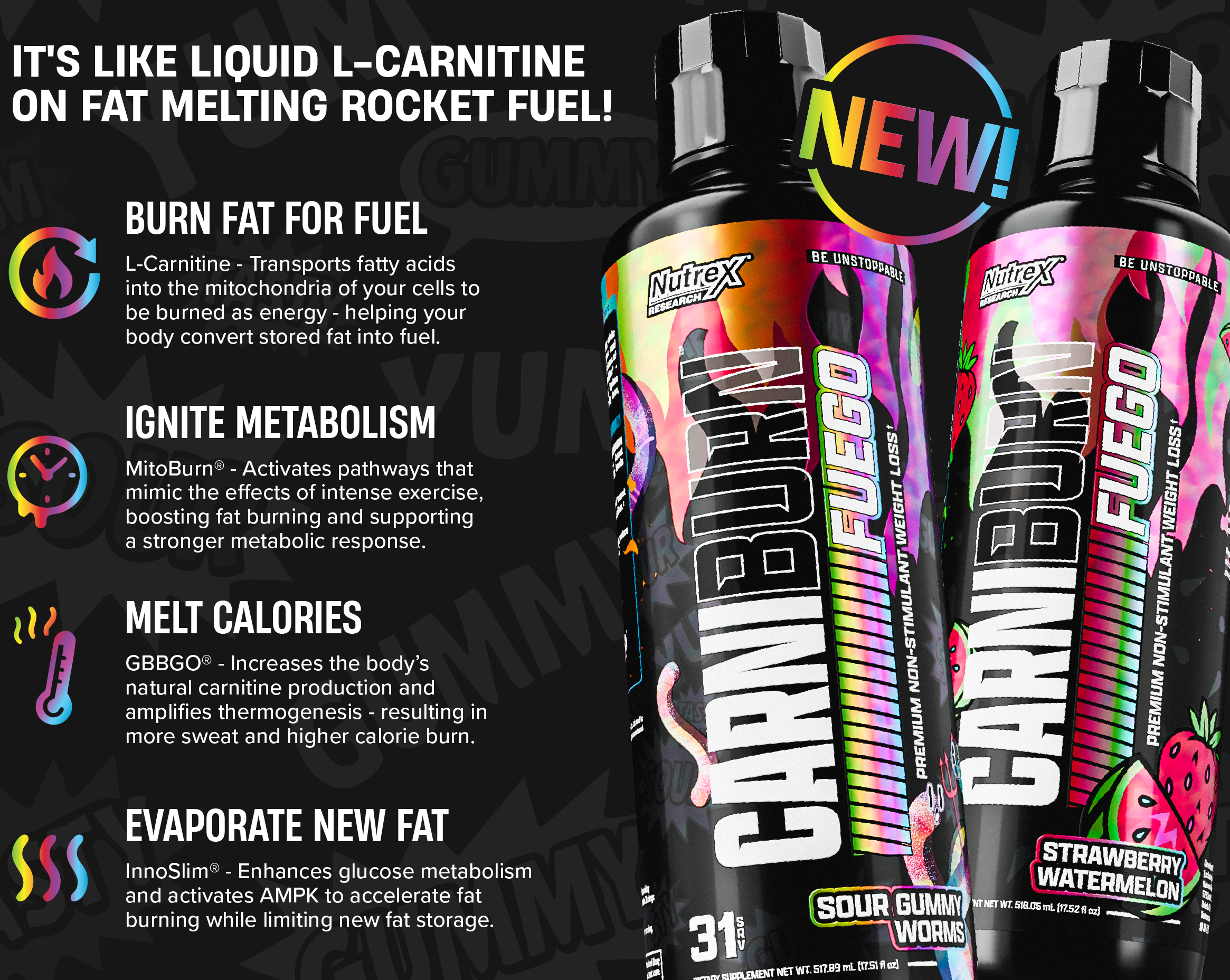 difference between l-carnitine tartrate and acetyl l-carnitine Nutrex Carniburn Fuego Sour Gummy Worms