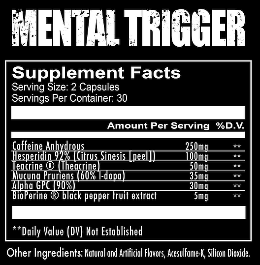 supplements-mental-trigger-focus-formula-3_580x@2x.png