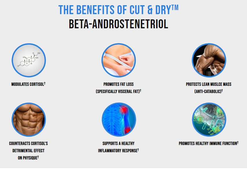 HO PH -OH benefits infographic detailing its cortisol modulation, fat loss promotion, muscle mass protection, and immune function support.