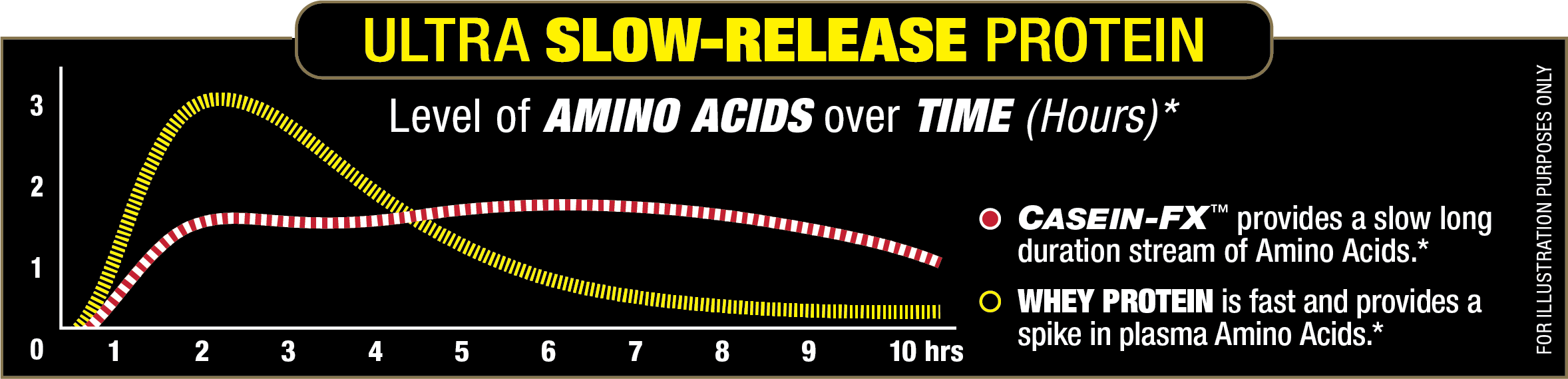 Graph comparing Ultra Slow-Release Protein, Casein-FX and Whey Protein's amino acid levels over time.