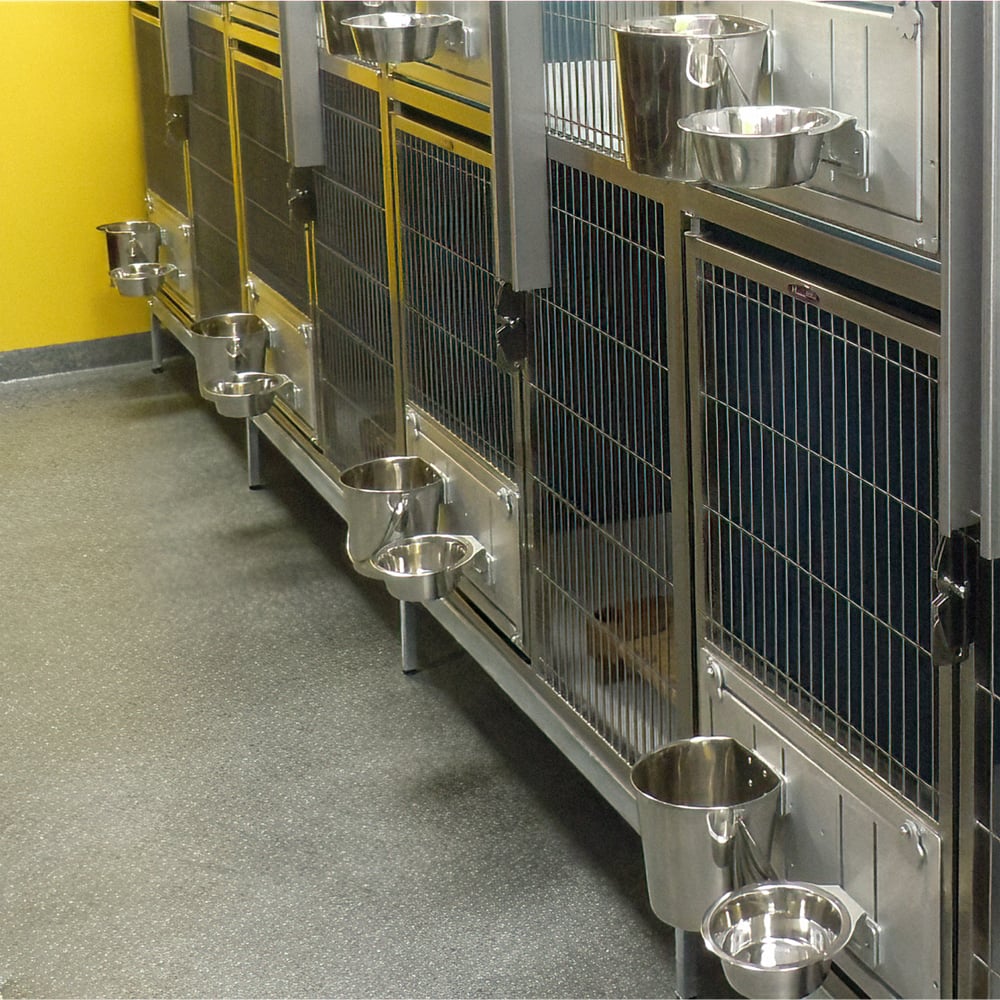 Vet recovery kennels