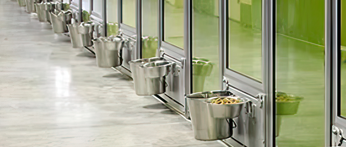 Pet Boarding and Training Facilities