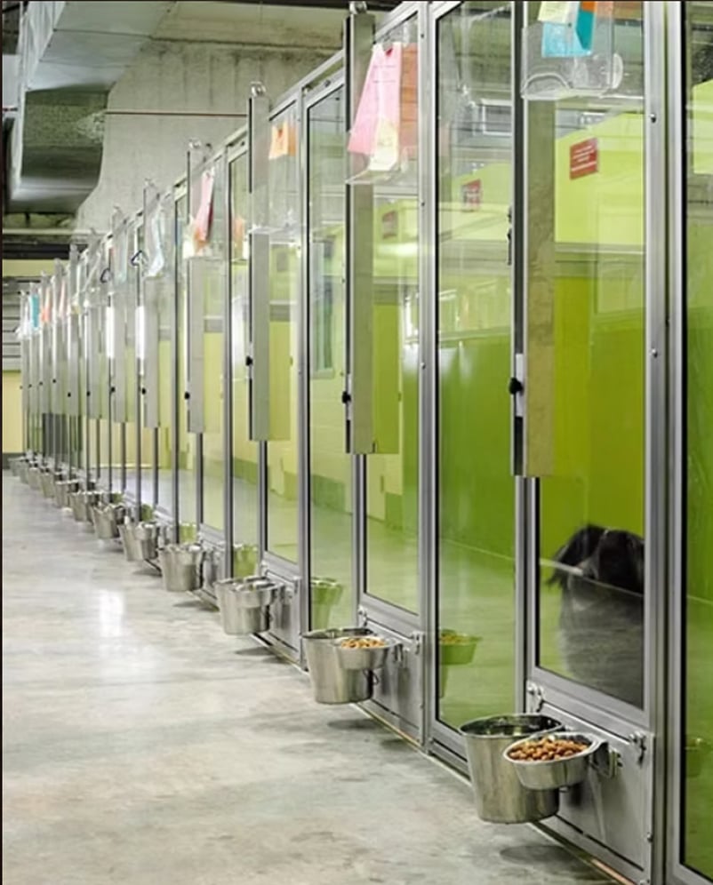 Installed in kennels