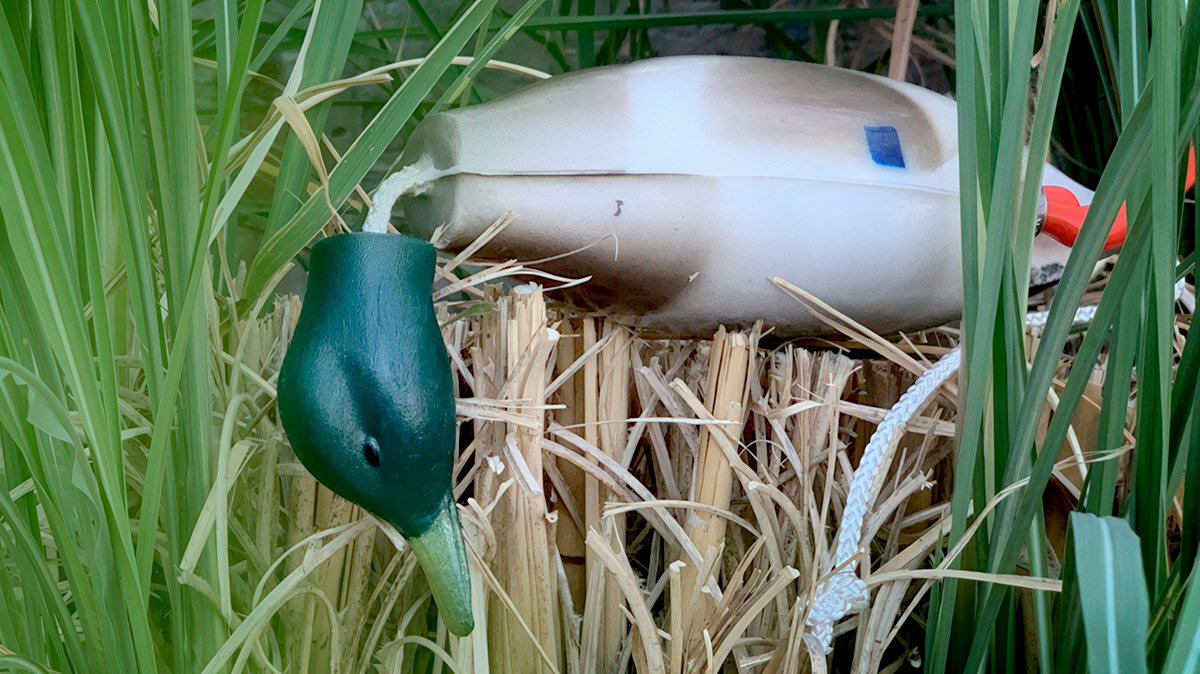 Dokken Dead Fowl mallard dummy resting on cattails